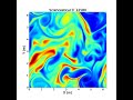 Simulate Vorticity