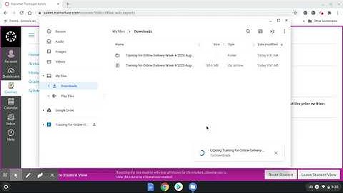 Salem Schools  - Canvas Offline Download Instructional Video