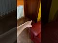 THANOS di SQUID GAME 3 STA VOMITANDO A CASA MIA! #shorts #squidgame #horror #brainrot #thanos #ps5