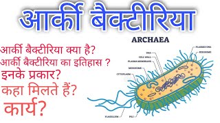 आर्की बैक्टीरिया (archi bacteria )