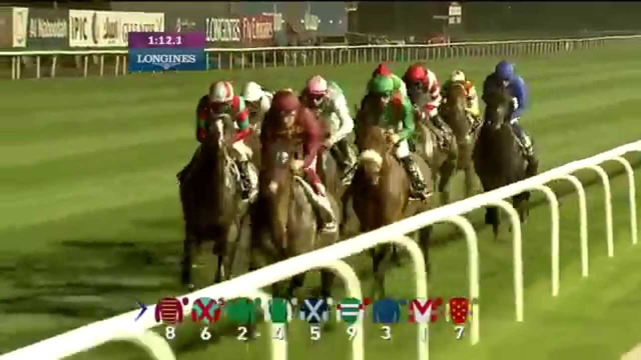 凱旋門賞15 フリーイーグルやイーグルトップら歴戦の古馬たち