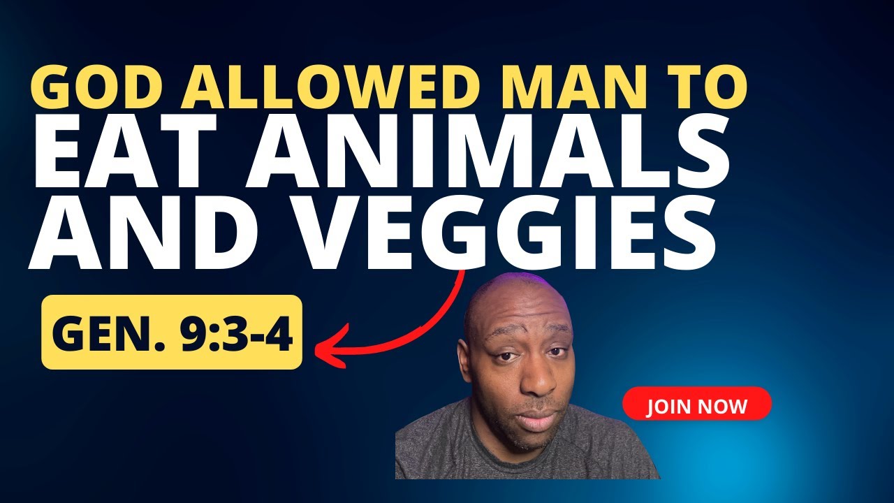 Turique BibleStudy Genesis 9 3 4 God World Order Man Eat Animals And turique-biblestudy-genesis-9-3-4-god-world-order-man-eat-animals-and