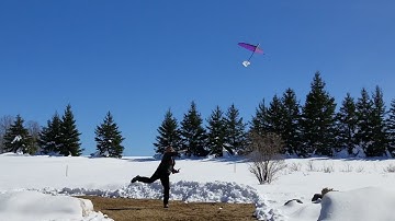 ELF DLG_MY FIRST TIME LAUNCHING