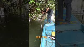 #fishing #fishspecies