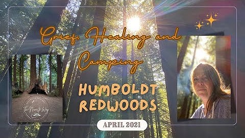 Car camping in the Humboldt Redwoods  