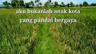 STORY WA SEDIH 30 DETIK