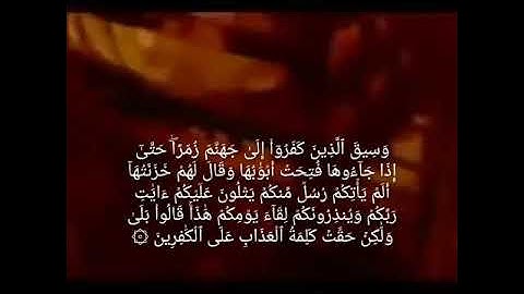 أواخر سورة الزمر تلاوة خاشعة للقارئ || داوود قاسم