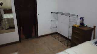 Quinto Andar - Imóvel  1103403