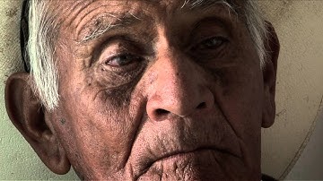 IDFA 2014 | Trailer | Just Playing With the Birds