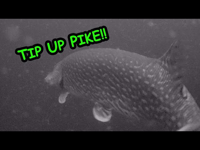 Ice Fishing Pike  How to setup your own Quick Strike Rig! 