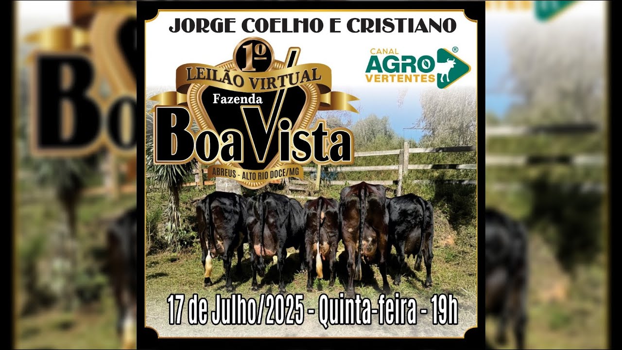 1º LEILÃO VIRTUAL FAZENDA BOA VISTA - JORGE COELHO E CRISTIANO - 17/07/2025