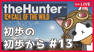 【thehunter:COTW】#13 弓鍛えたい('ω')【Vtuber】