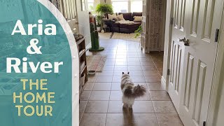 Ragdoll Home Tour: See Aria & River’s Home