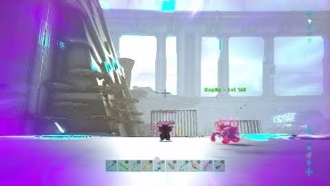 Noglin meat run ark pvp