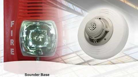 NOTIFIER   IntelliQuad   Sounder Base