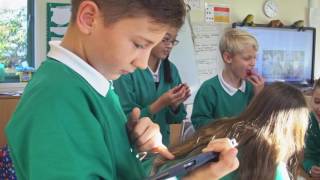 Aprender a cooperar: Primary school language learning