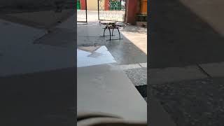 Problem During Calibration