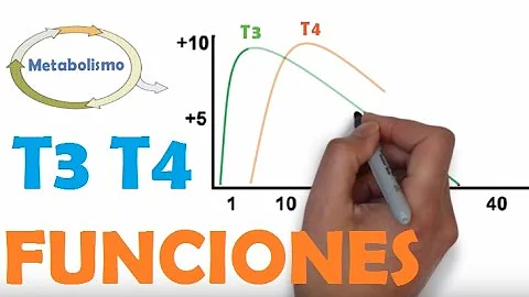Porque T3 emagrece?