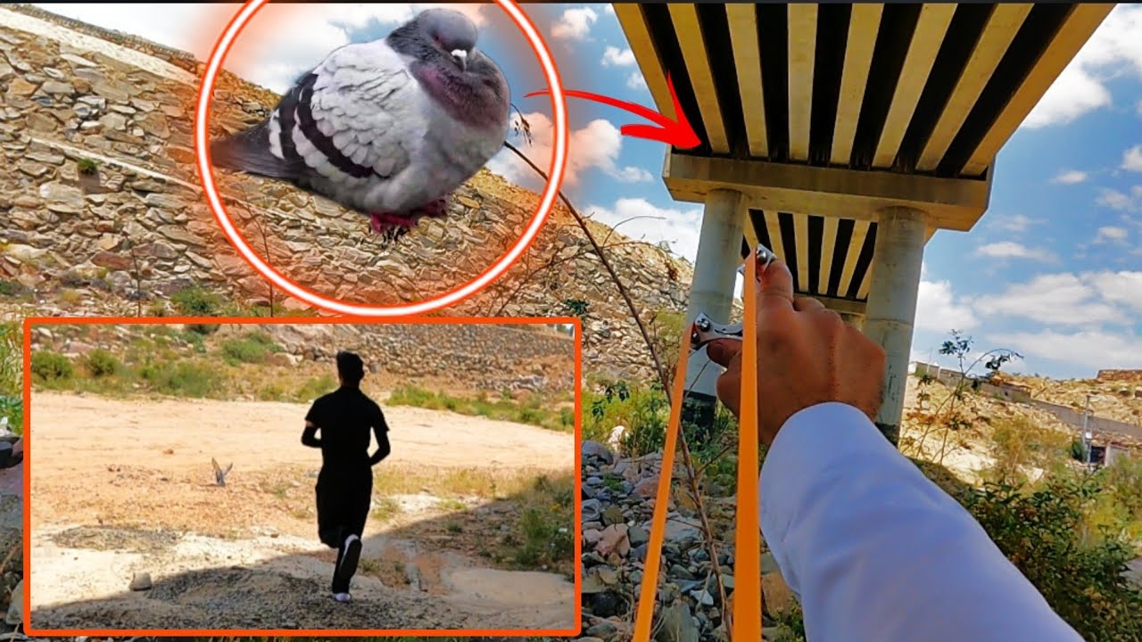 صيد وطبخ العيش في البريه الجزء 65