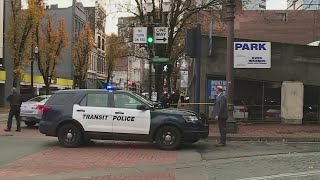 Woman with replica gun in Portland parking garage in custody