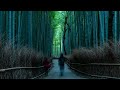 竹田の子守歌 - 赤い鳥