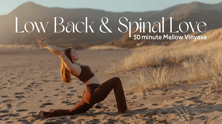 Yoga for Low back, Hips and Spine | 50 minute Mell...