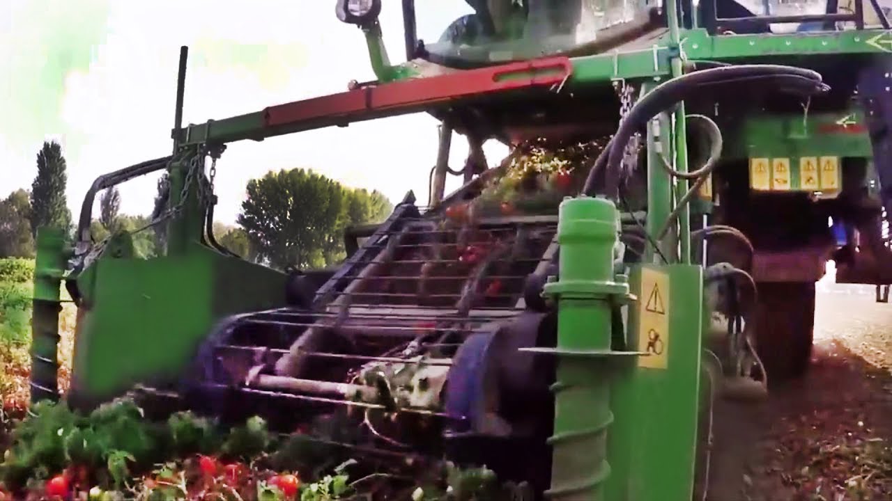 Машина для сбора урожая