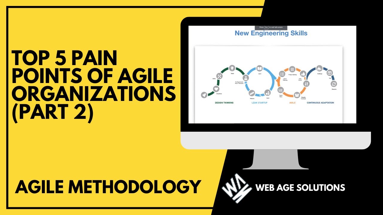 Top 5 Pain Points of Agile Organizations (Part 2) - YouTube