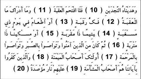 القارئ الزين محمد أحمد سورة البلد