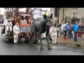 Xolo the Giant Dog at Liverpool's Sea Odyssey, 2012