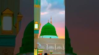 Miracle of allah 😨👆#islamicstatus #islamicshort
