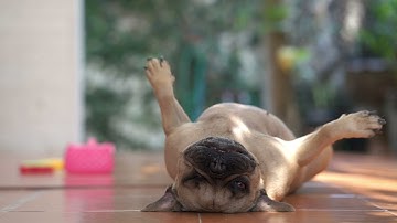 RCL0111 SocialVideos Video 10 1280x720 FA