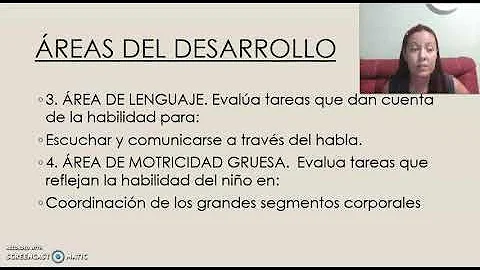 Como interpretar a escala de Denver?