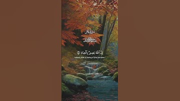 فستذكرون ما أقول لكم | تلاوة مؤثرة من سورة غافر بصوت مشاري راشد