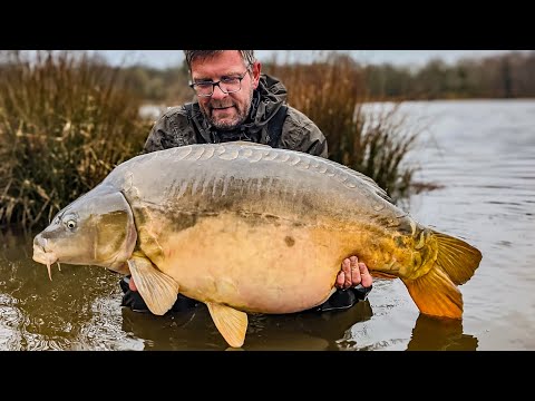 Video: De Wijsheid Van Wintervissen