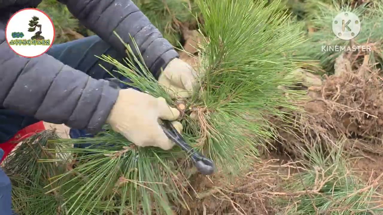 가지정리 왜? 중요할까?