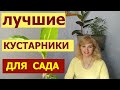 Лучшие 5 кустарников, которые преобразят ваш сад за самое короткое время