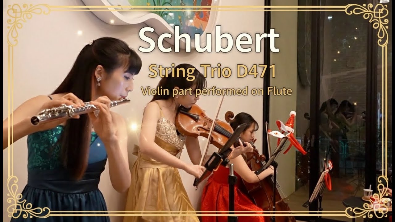 String Trio D471/F.Schubert