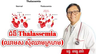 ជំងឺThalassemia (ជំងឺឈាមស សុីឈាមក្រហម) | វេជ្ជបណ្ឌិត ហង្ស ដារ៉ា | ចំណេះដឹងសុខភាព | success knowledge