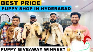 BEST PRICE DOG SHOP IN HYDERABAD | PUPPY GIVEAWAY WINNER ANNOUNCED