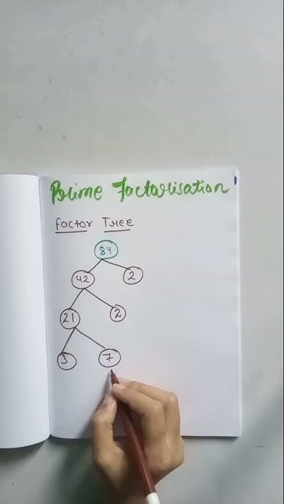 prime-factorisation-by-factor-tree-method-mathematics-shorts-youtube