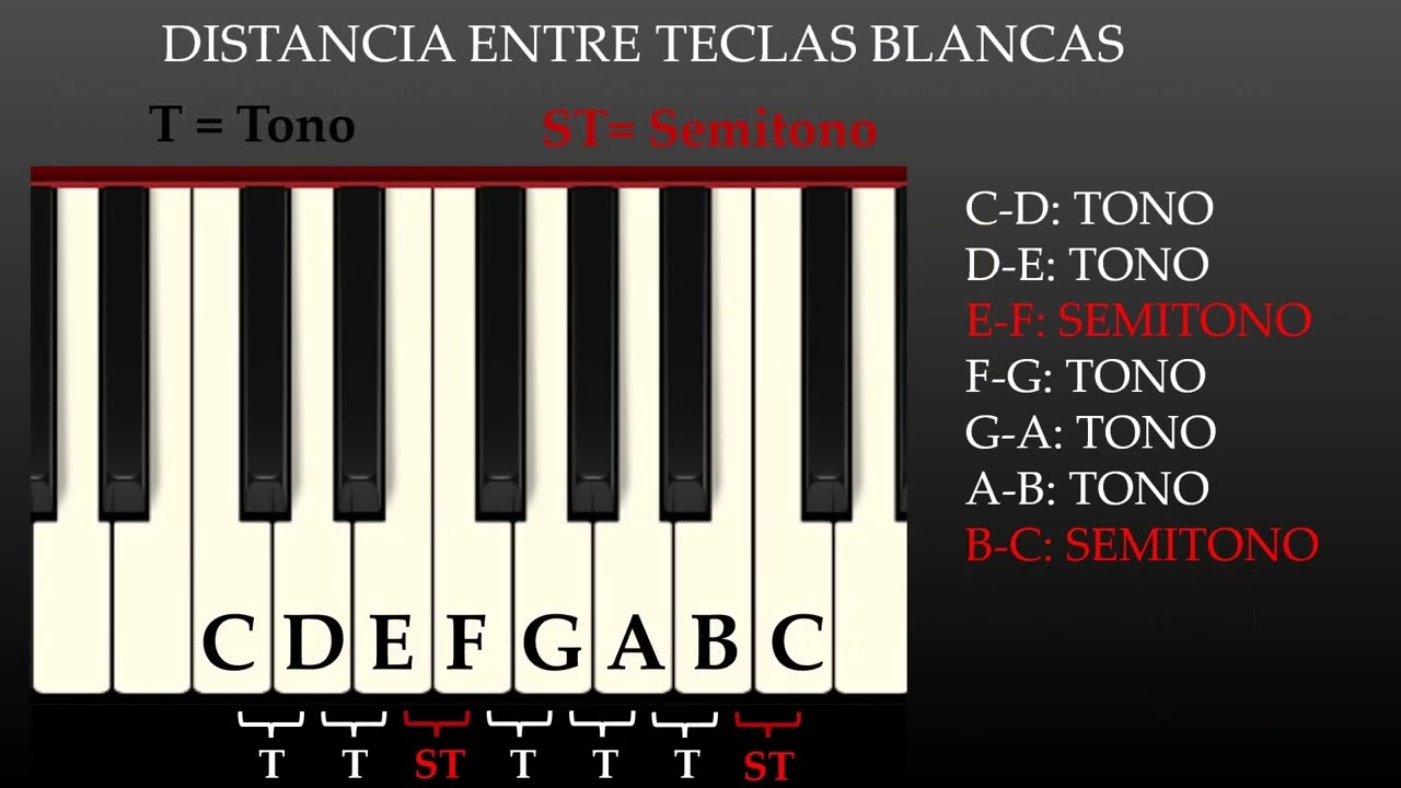 28. 🎹Curso de piano teórico-práctico | Teoría musical aplicada al piano.  Tonos y Semitonos.