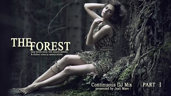 The Forest Chill Lounge Vol. 6 - Continuous DJ Mix...