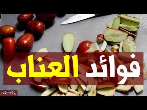 فوائد العناب