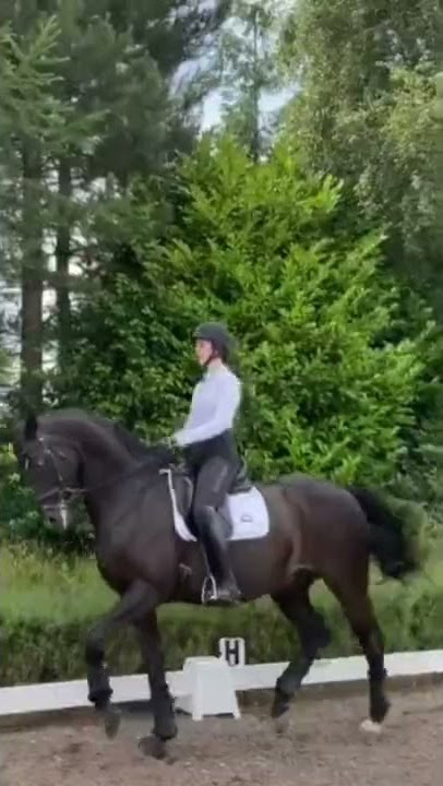 Erin William's Edit ♡ /audio made by me\ ⚠️FW⚠️ #millieandthemoodymares #equestrian @Erin Williams