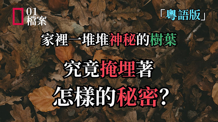 「粵語版」四人突然下落不明，家裡一堆堆神秘的樹葉究竟掩埋著怎樣的秘密？ - 天天要聞
