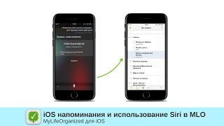 iOS напоминания и использование Siri в MyLifeOrganized screenshot 4