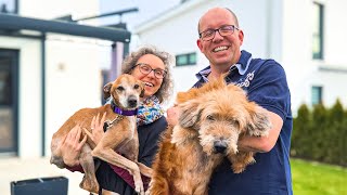 Two Old Dogs Find Forever Home TOGETHER !