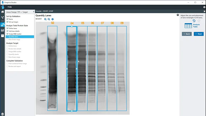 Linear Range Determination using Revert 700 Total Protein Stain in Empiria Studio Software