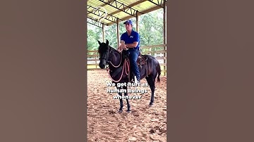 Working With A Spooky & Reactive Paso Fino! Part 9 | The Horse Guru - Michael Gascon